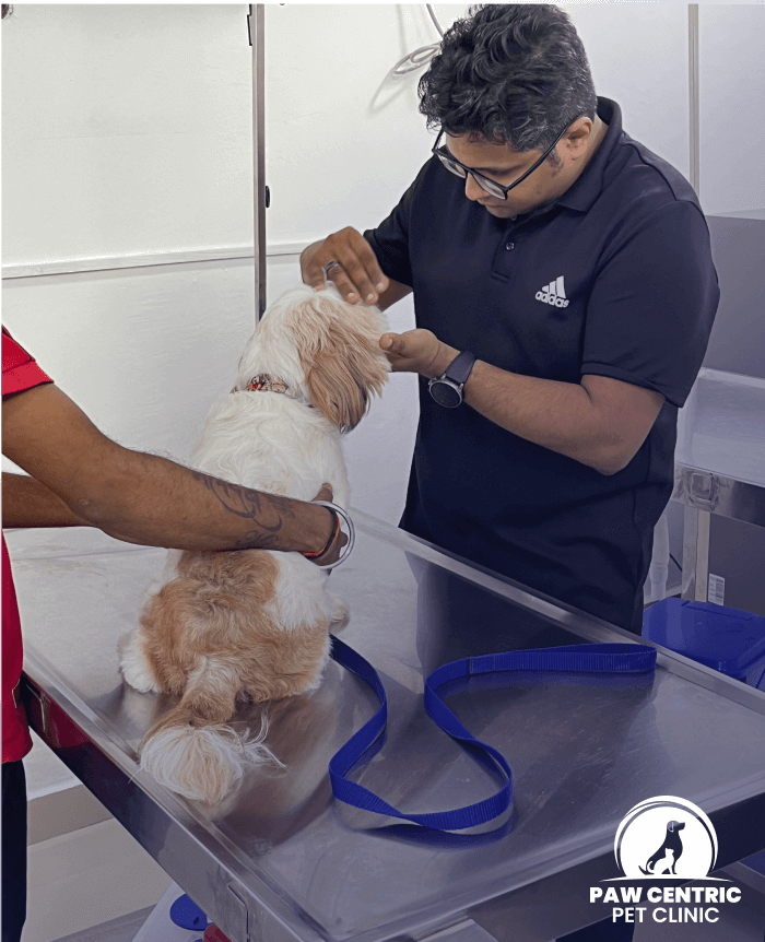 pet hospital near me